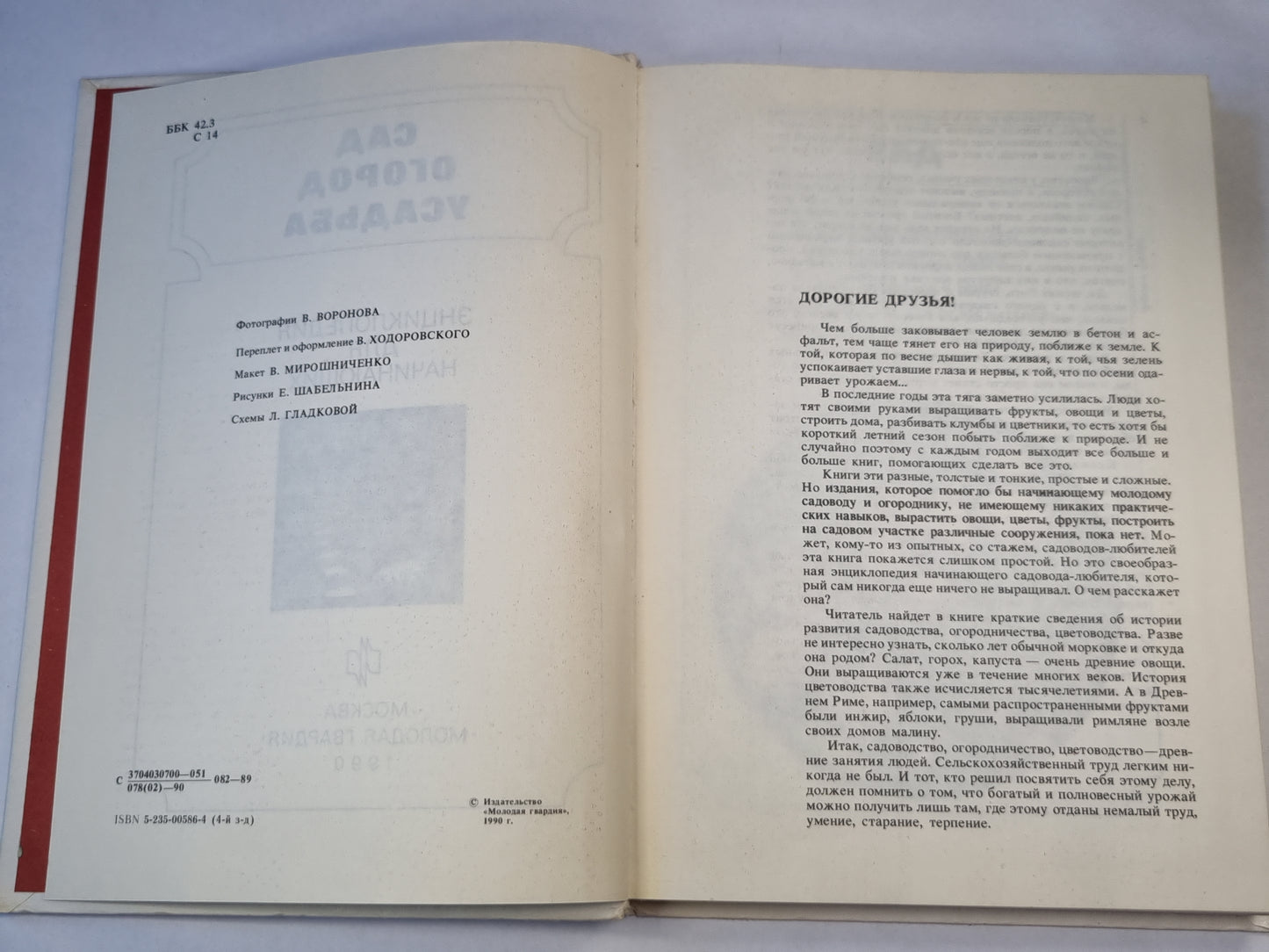 Сад. Огород. Усадьба