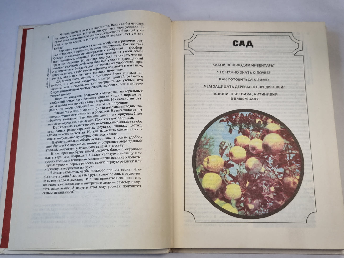 Сад. Огород. Усадьба