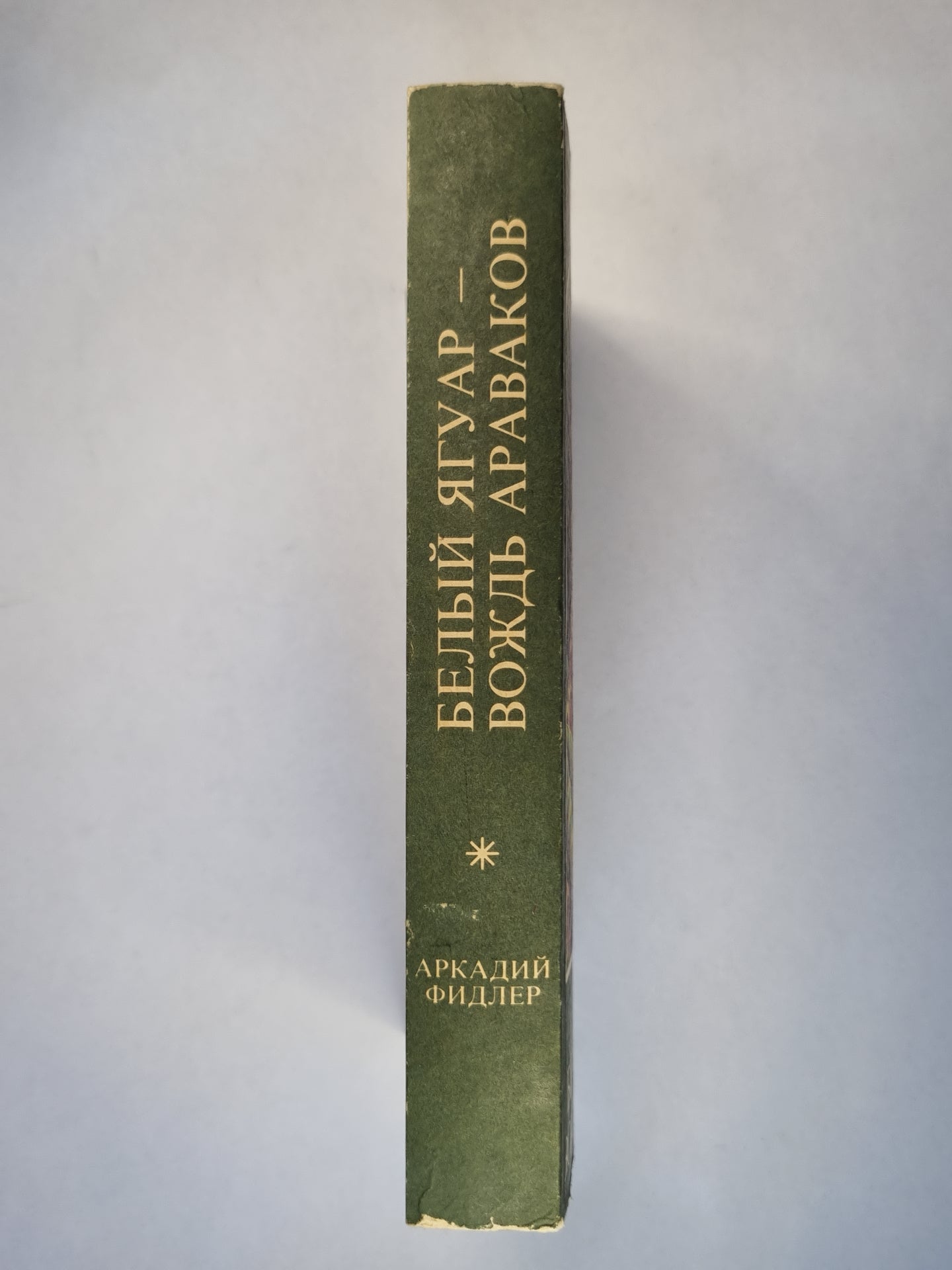 Белый Ягуар - вождь Араваков