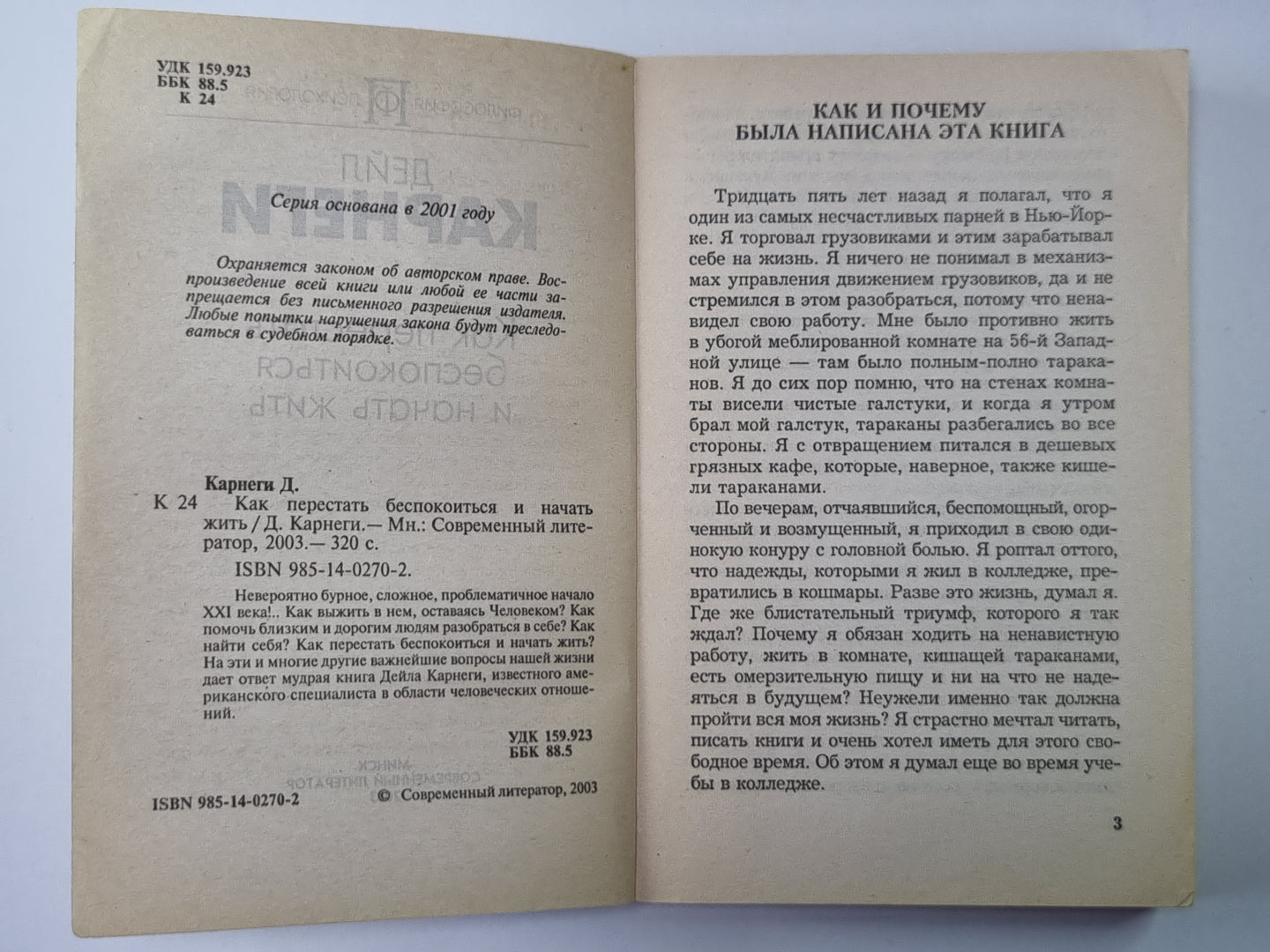 Как перестать беспокоиться и начать жить