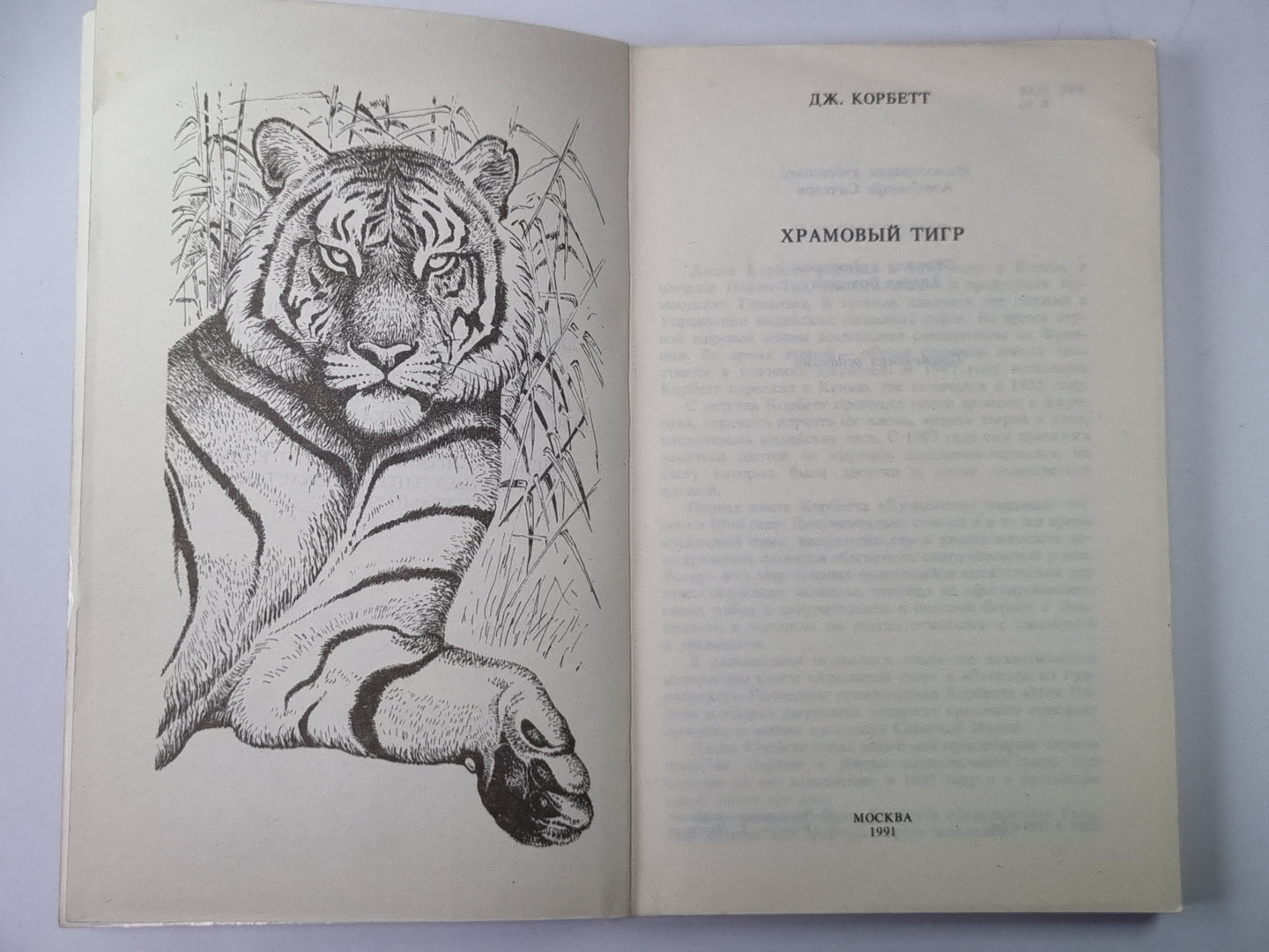 Храмовый тигр