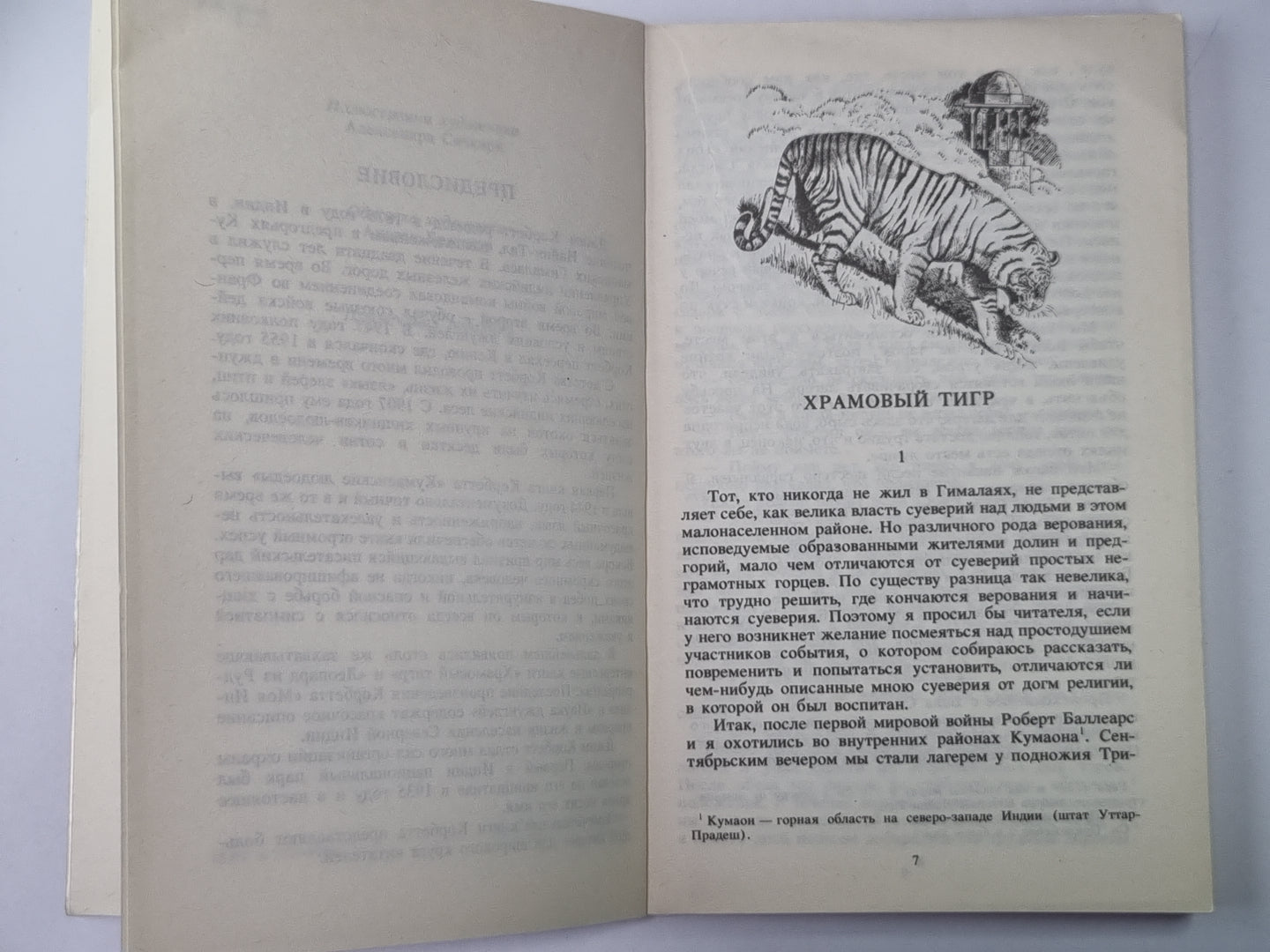 Храмовый тигр