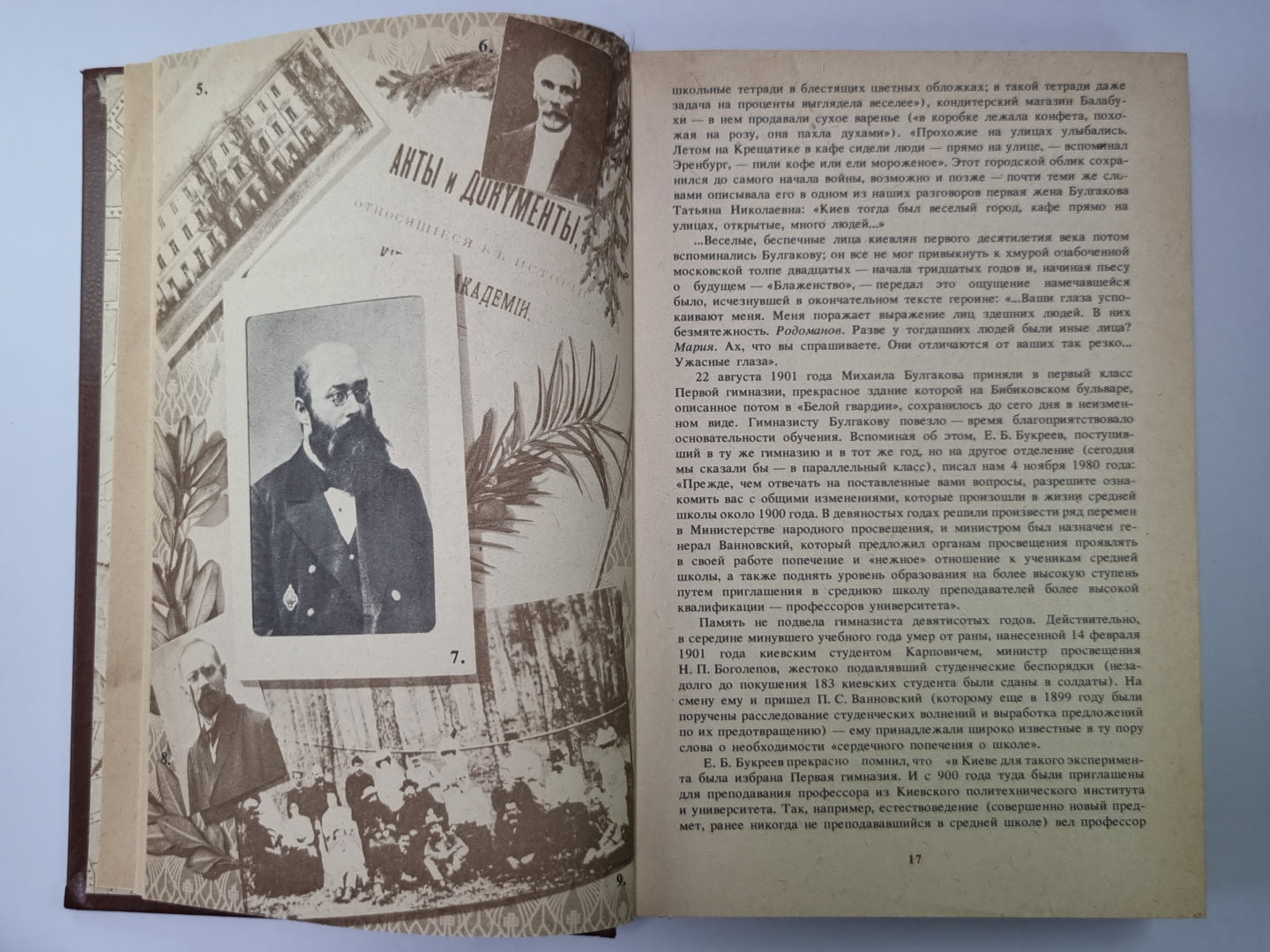 Жизнеописание Михаила Булгакова. Сер.(Писатели о писателях)