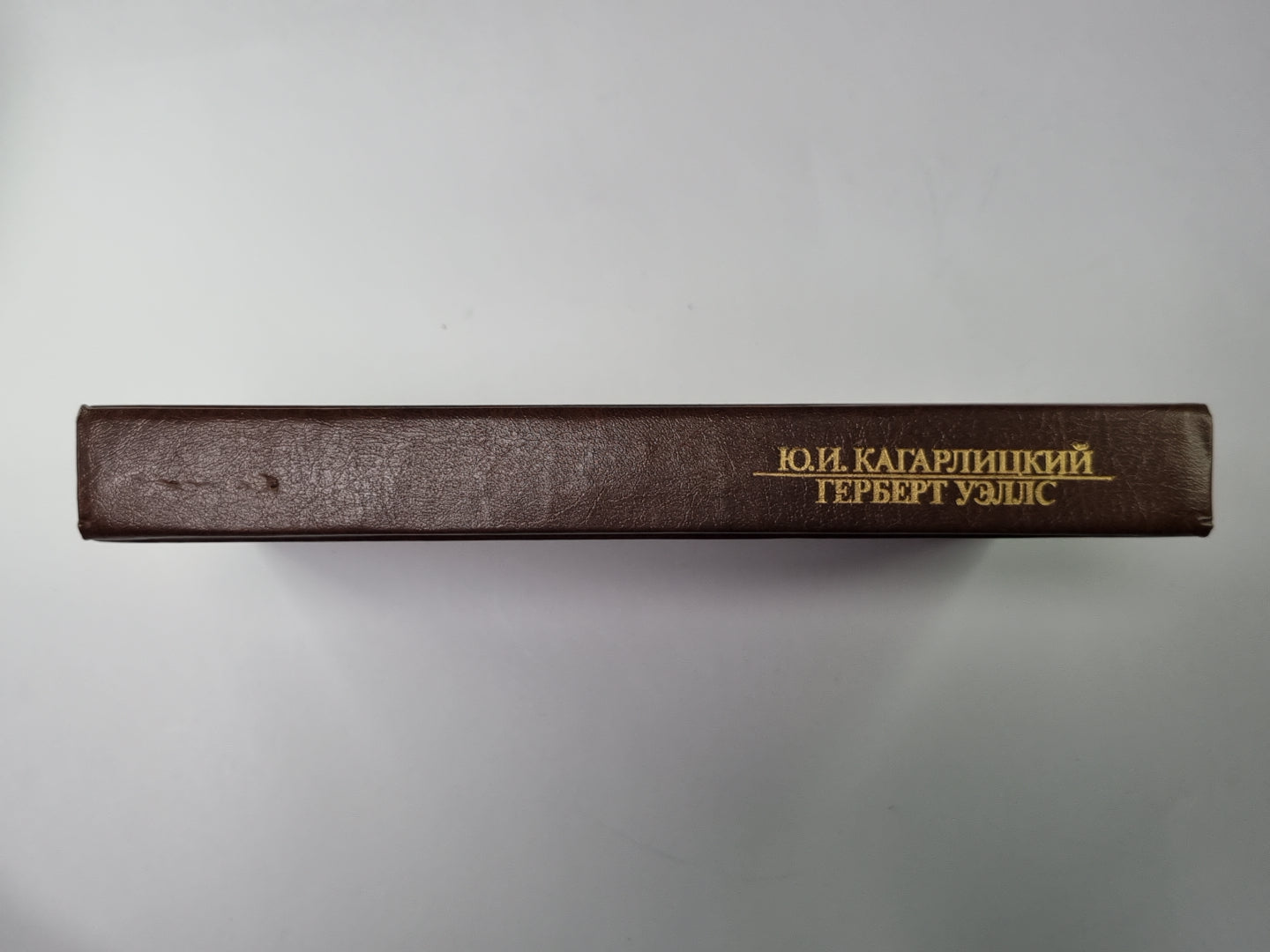 Вглядываясь в грядущее: Книга о Герберте Уэллсе. Сер.(Писатели о писателях)