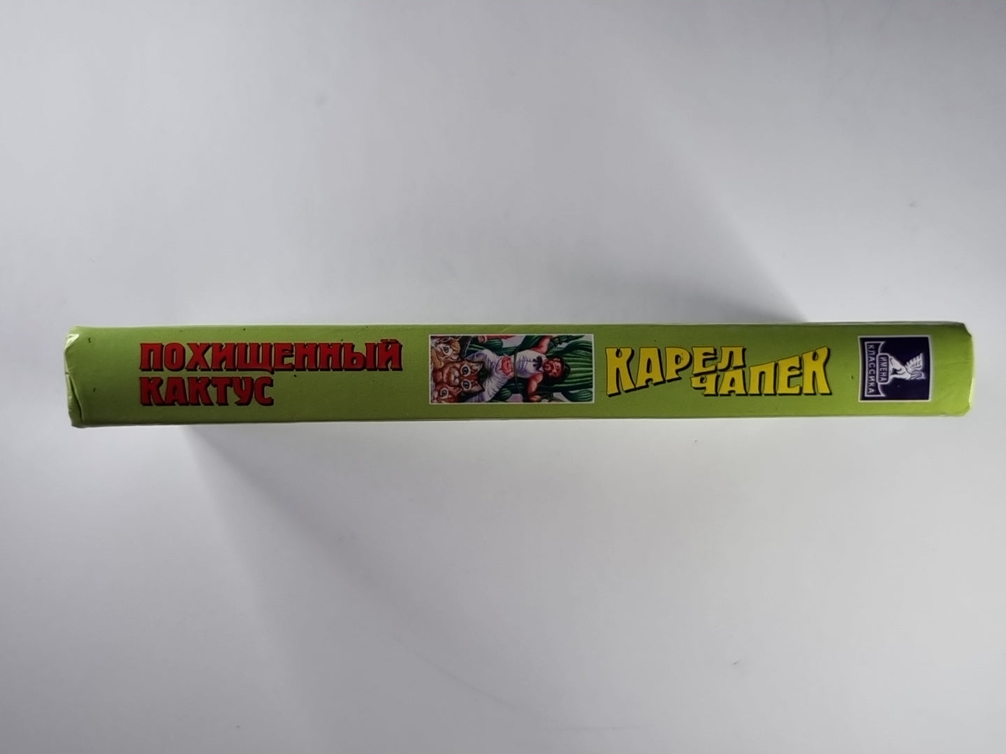 Похищенный кактус