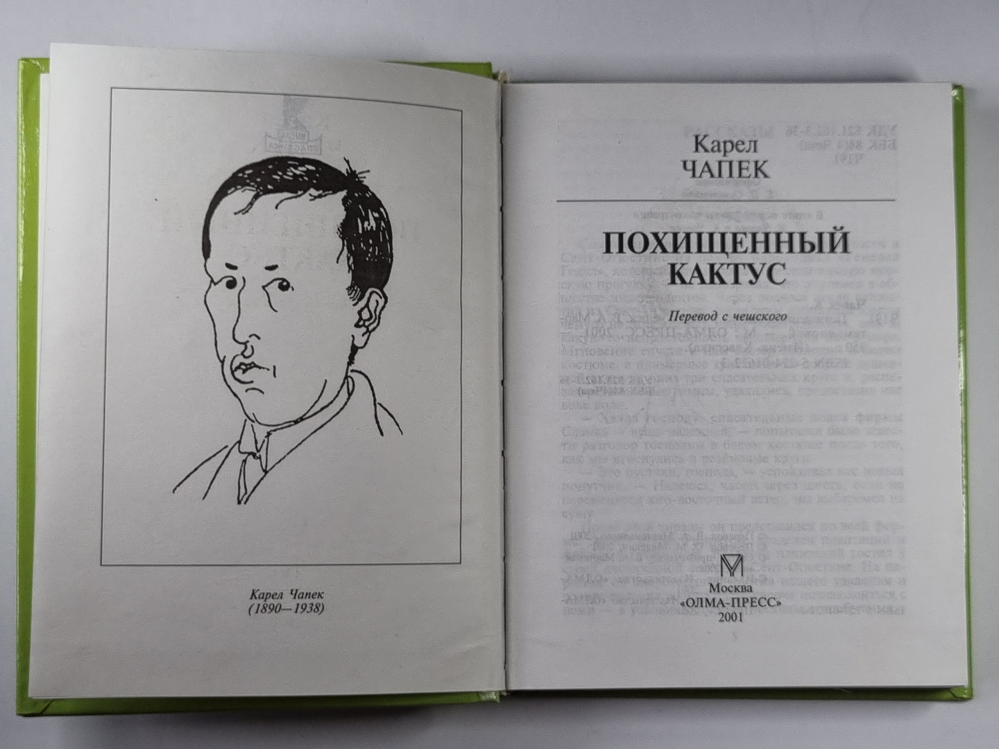 Похищенный кактус