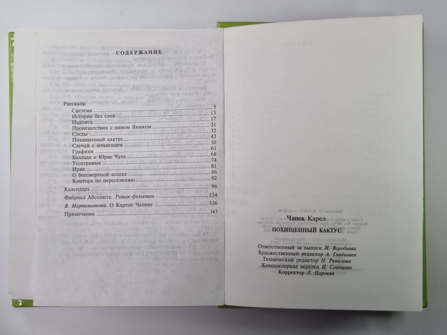 Похищенный кактус