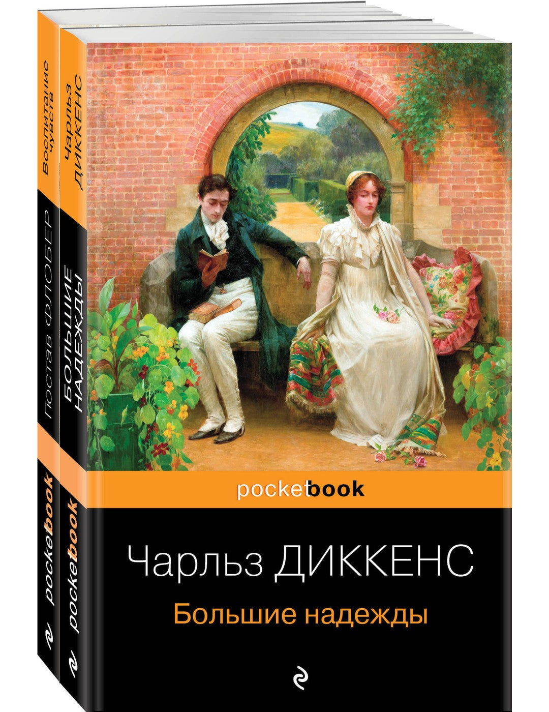 Несбывшиеся надежды (комплект из книг: «Большие надежды», «Воспитание чувств»)